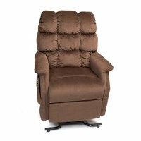 Photo of a lift chair in the Traditional Series category of lift chairs.