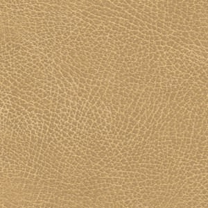 Photo of the Buckskin lift chair fabric.