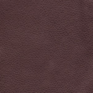 Photo of the Coffee Bean lift chair fabric.