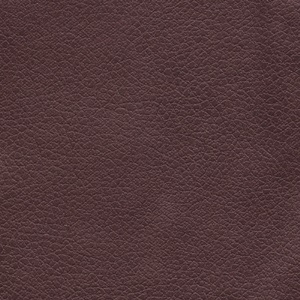 Photo of Coffee Bean lift chair fabric.